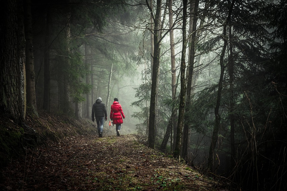 couple walking in jungle