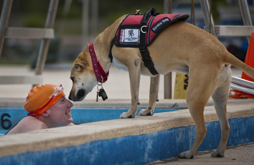 dog kissing man