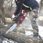 Chainsaw Maintenance Tips