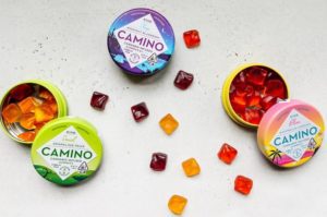 cbd gummies
